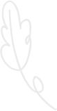 Shape 1